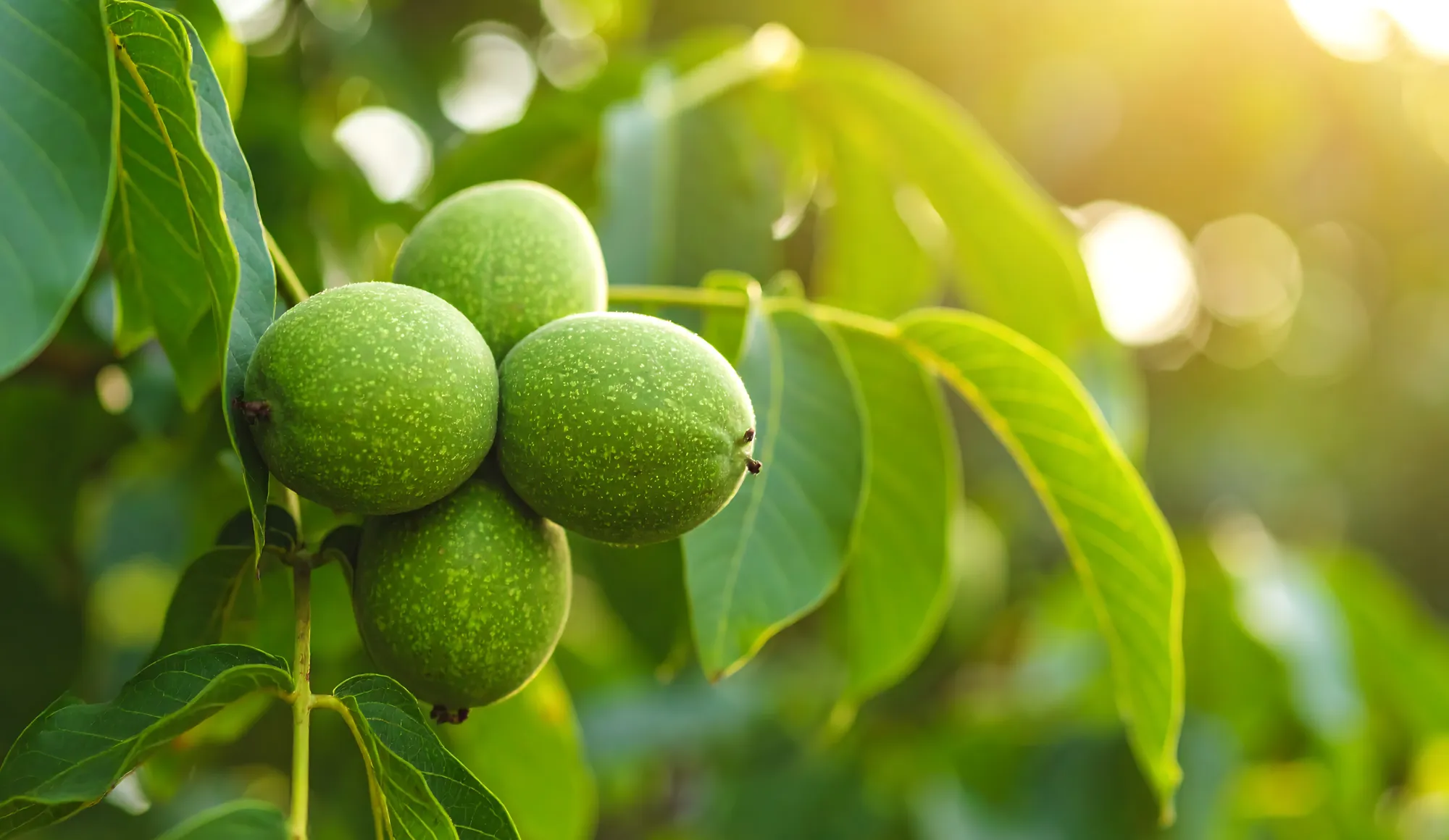 私たちが大切にしていること